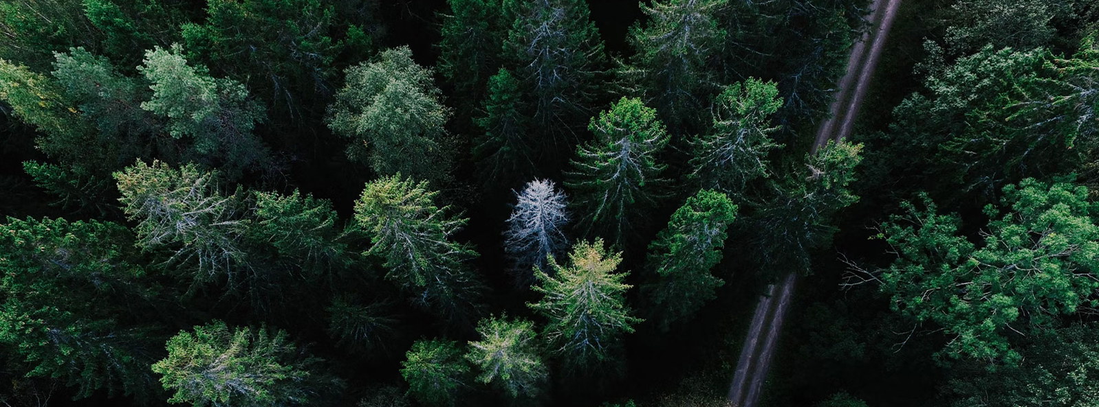 江蘇祥宜紡績技術（グループ）有限公司